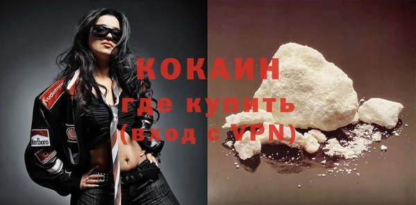 индика Нея