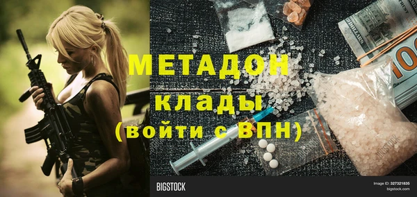 индика Нея