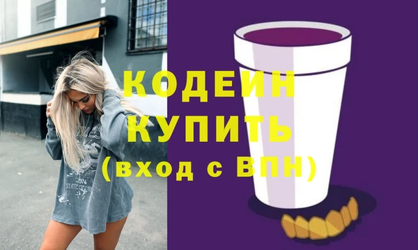 индика Нея