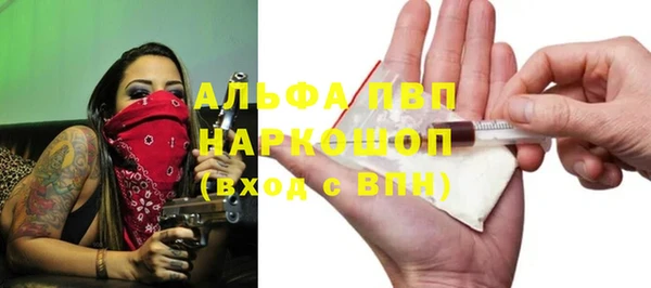 индика Нея