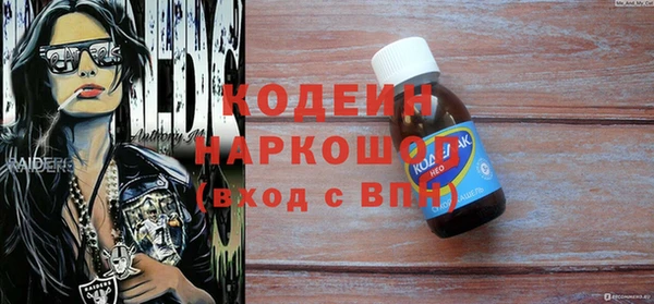 индика Нея