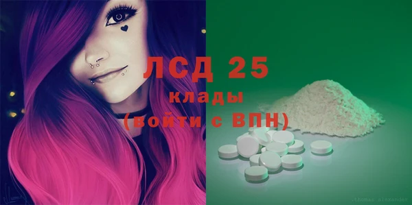 индика Нея