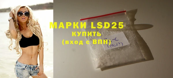 индика Нея