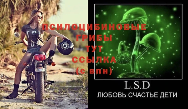 прущие крисы Нефтекумск