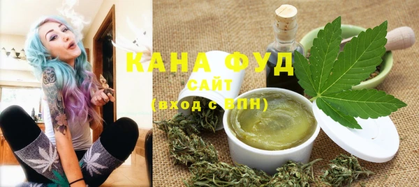 индика Нея