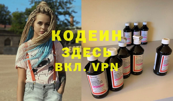 индика Нея
