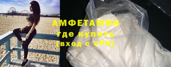 индика Нея